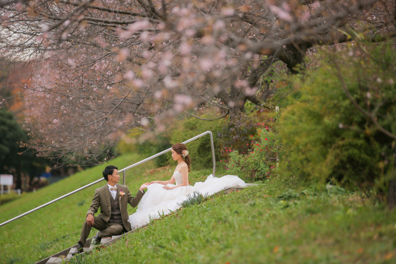 秋に咲く桜