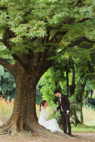 庄内緑地公園ロケーション