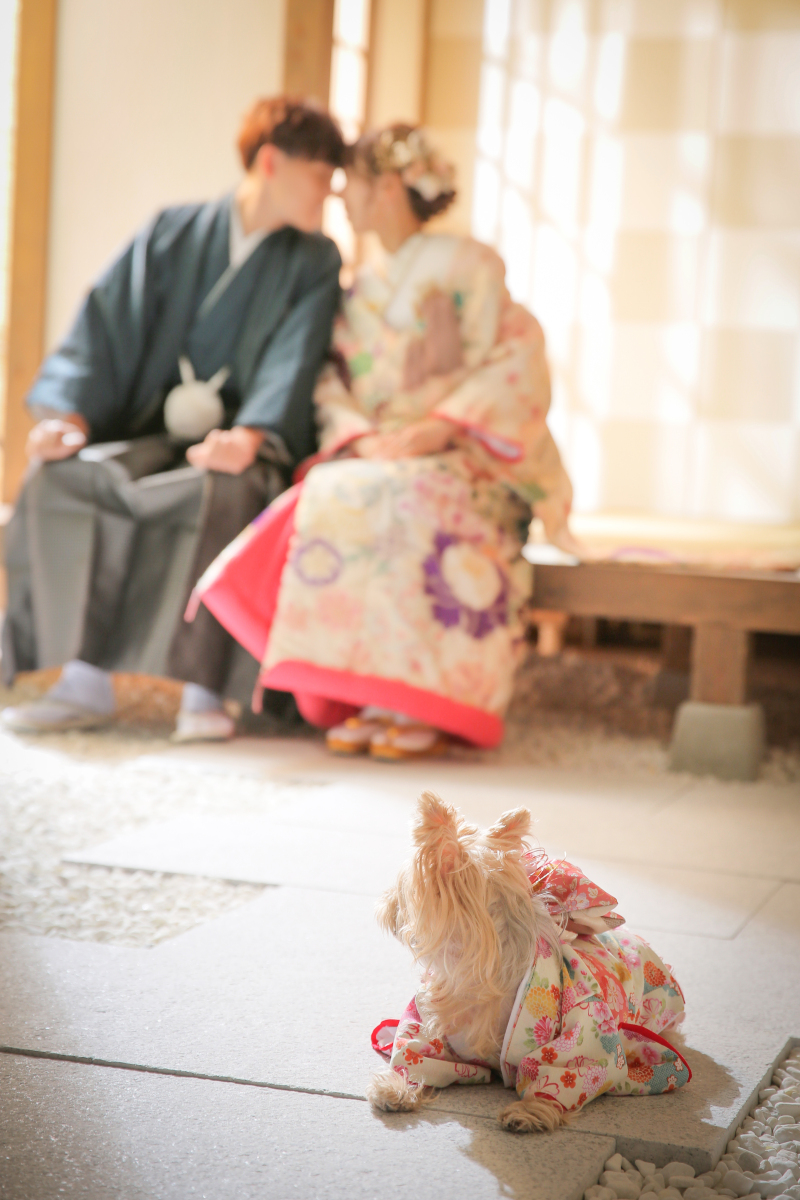 ふたりの様子をチラっと!