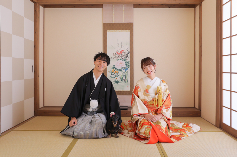 わんちゃん登場！