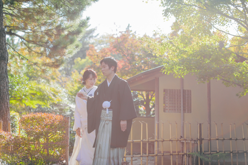 ふわっとした光で