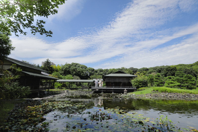 白鳥庭園といったら