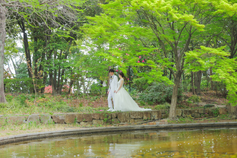 緑の木々の中で