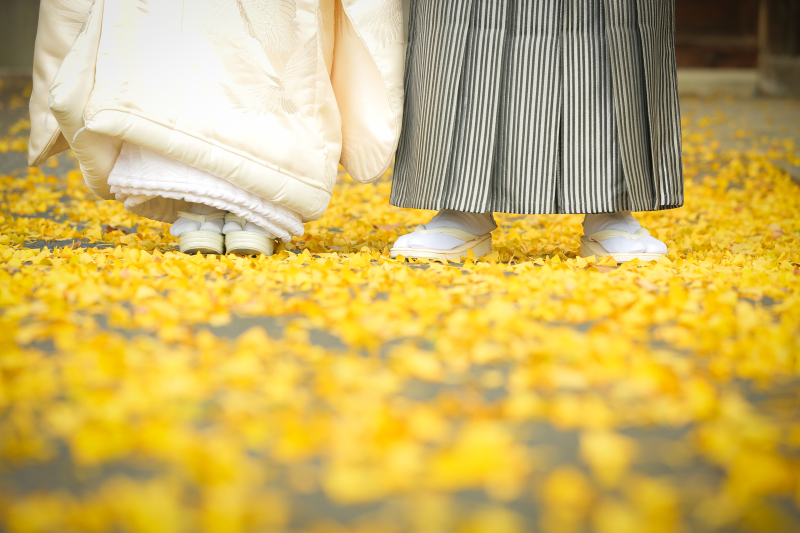 大人気の紅葉撮影！