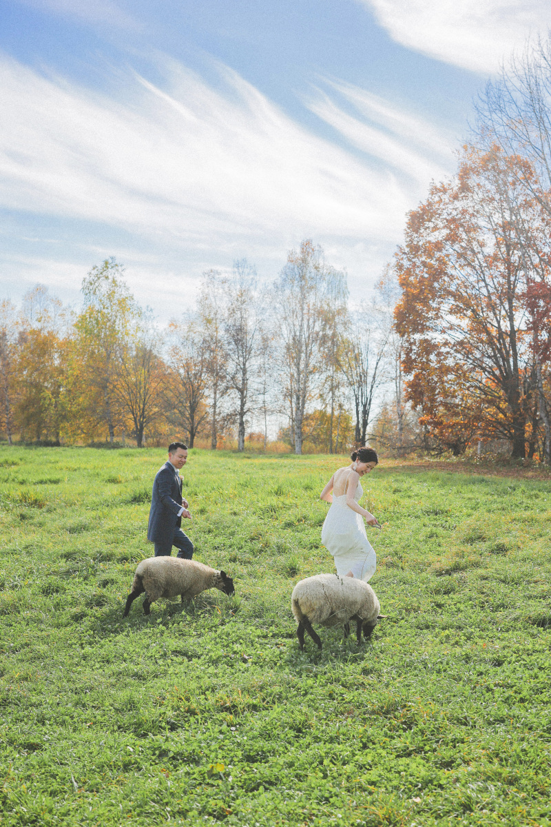 ちょっと遠くまで