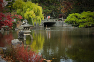 秋の和装鶴舞公園