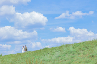 木々も空も鮮やかロケーション