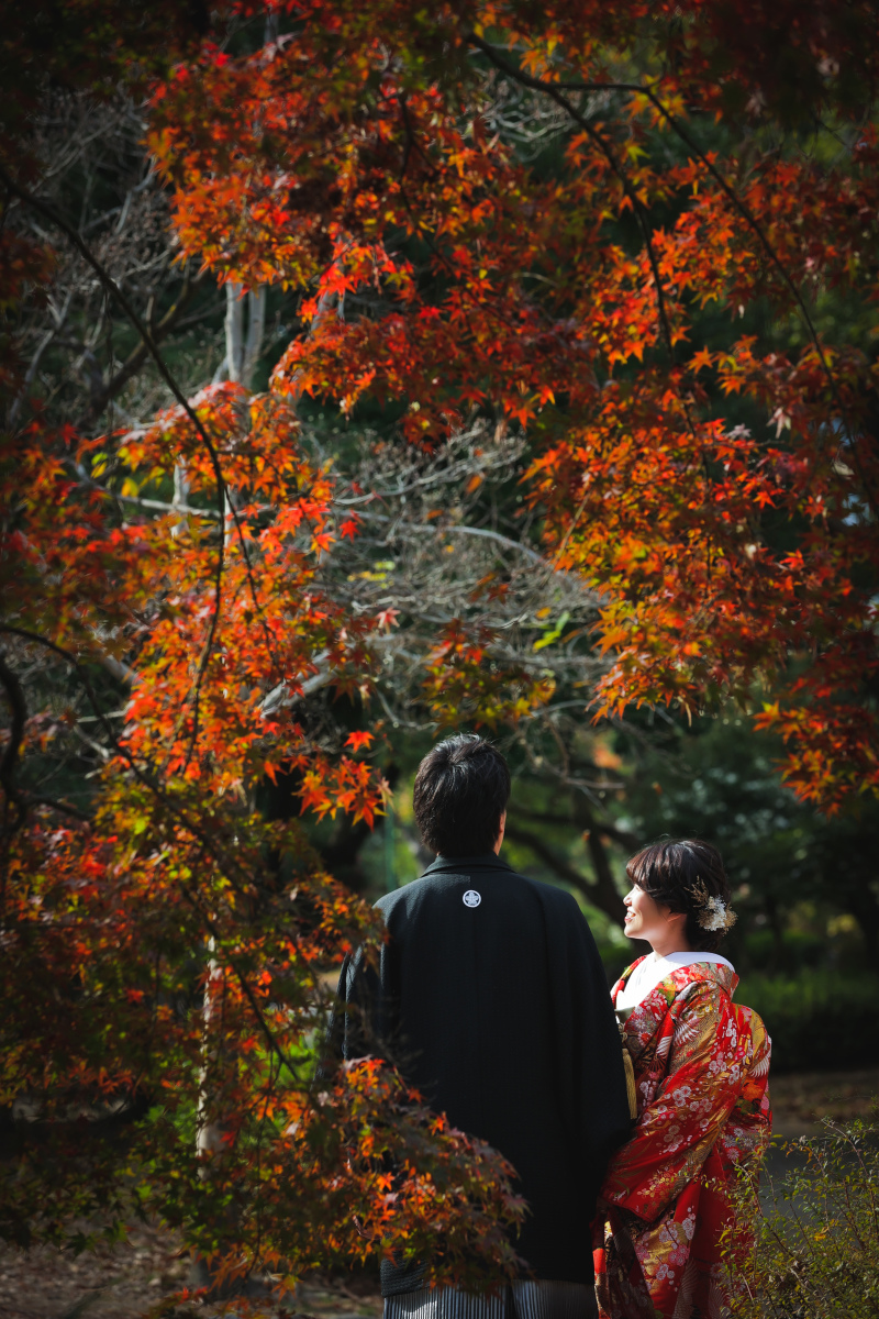 紅葉