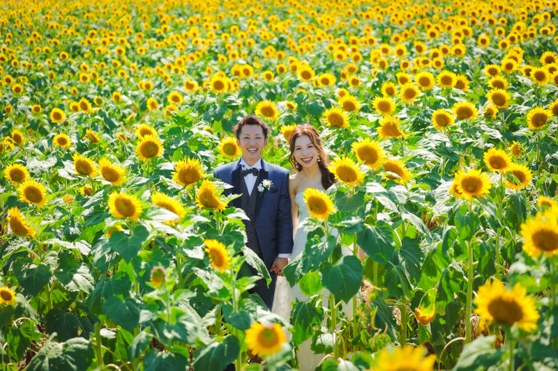 向日葵に埋もれたい！！