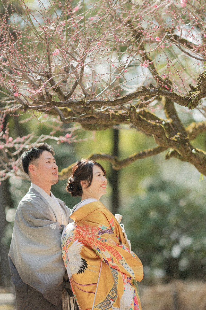 梅の木お花が！