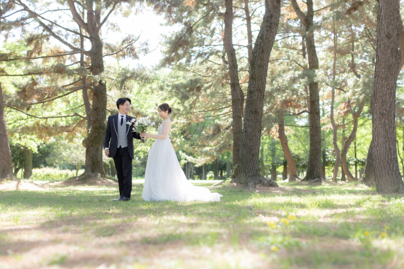 ふんわりした光と