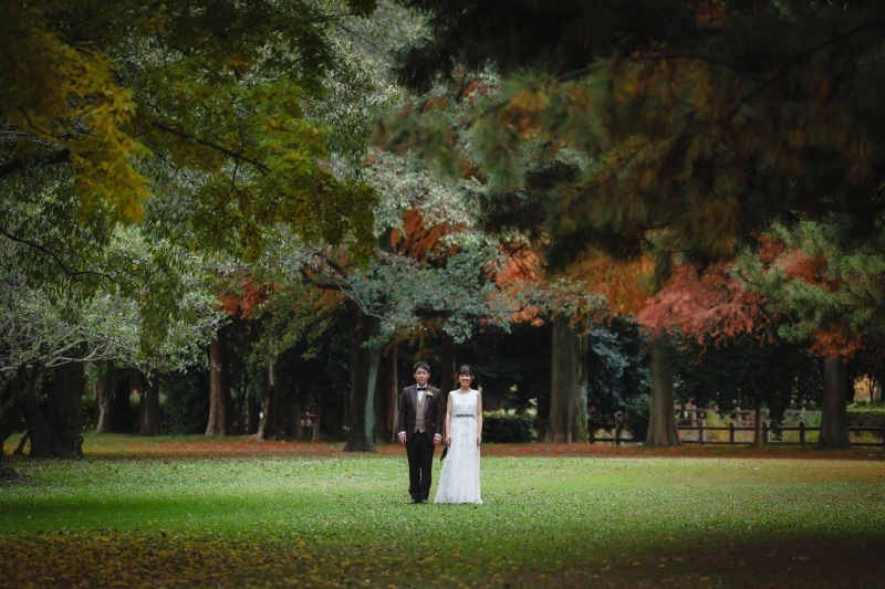 スポットライト。