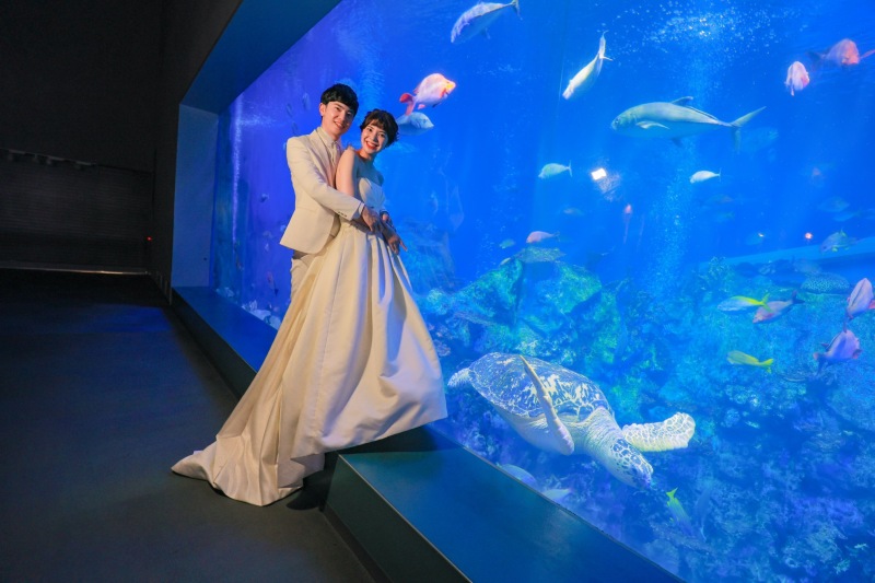 今回お二人が選んだのは