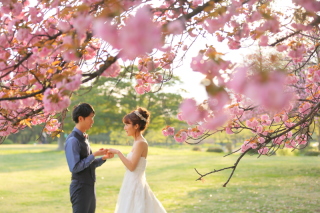 春爛漫の公園で
