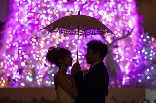 キラキラのイルミネーション撮影