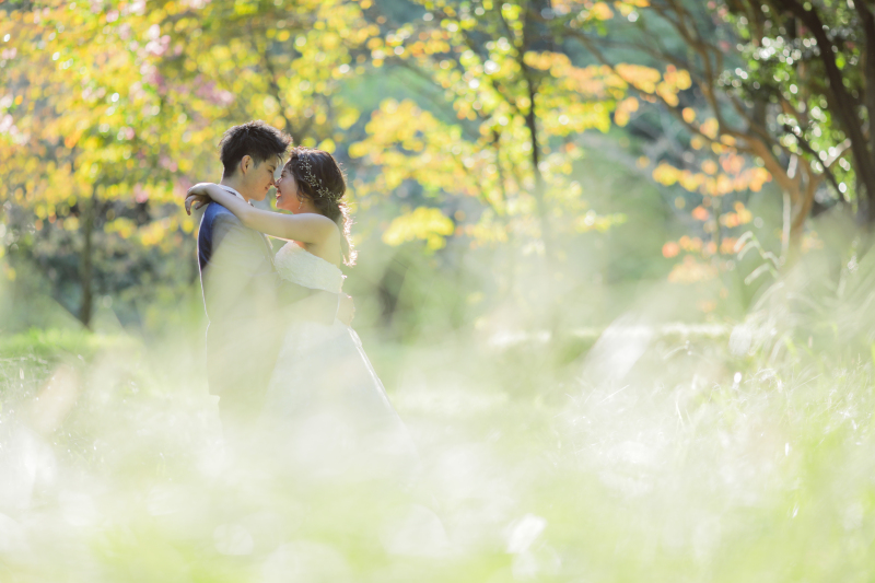 いい光をみつけた