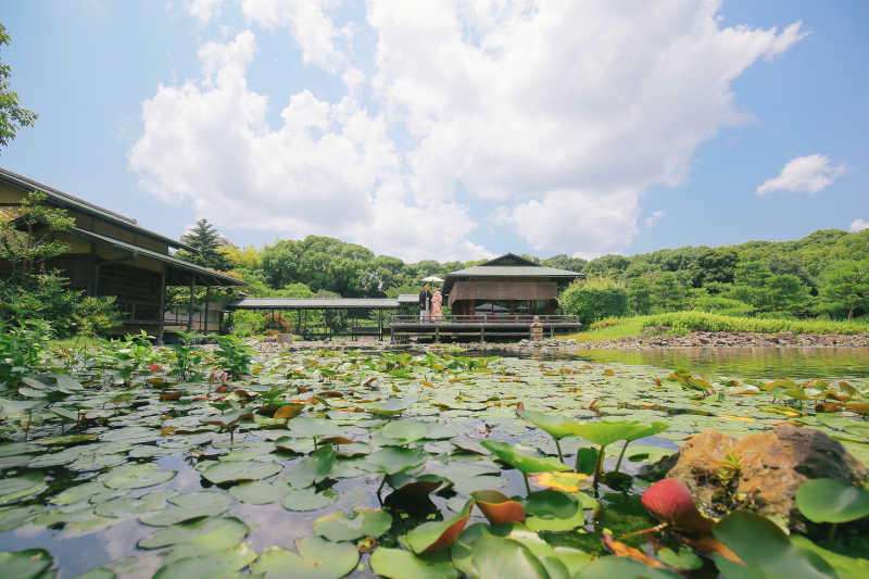 お茶室のある景色