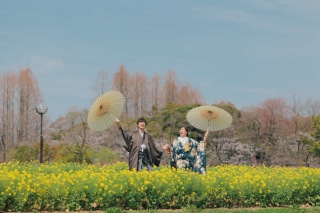 快晴☆桜ロケーション