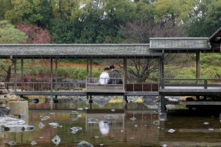 雨の日白鳥庭園ロケーション！