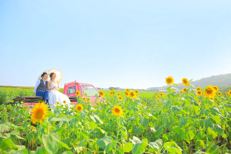 ピンクのトラクターと❤︎