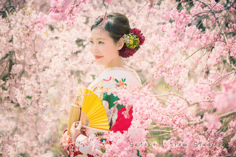 桜の中で美しい花嫁