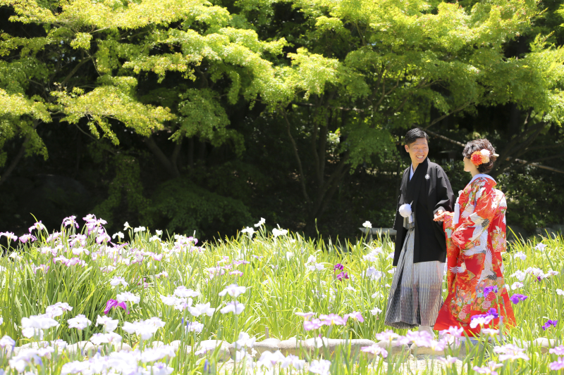 菖蒲のお花の中をエスコート♡
