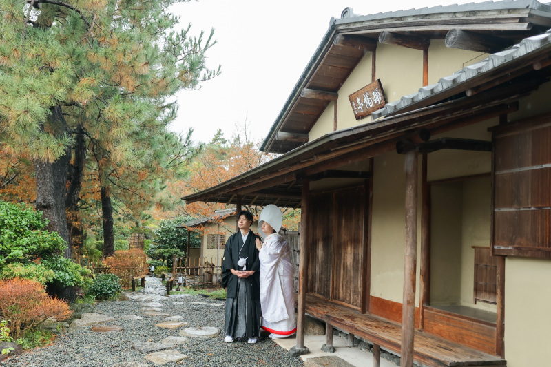 雨の日の日本庭園
