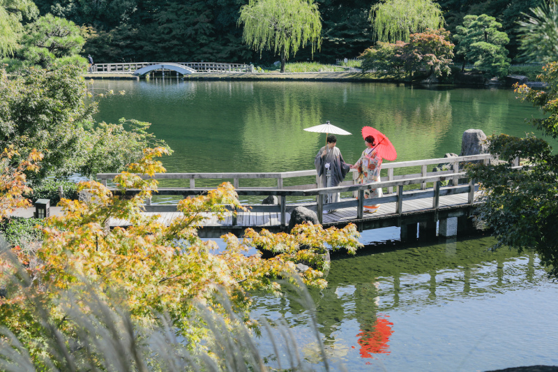爽やかなお天気