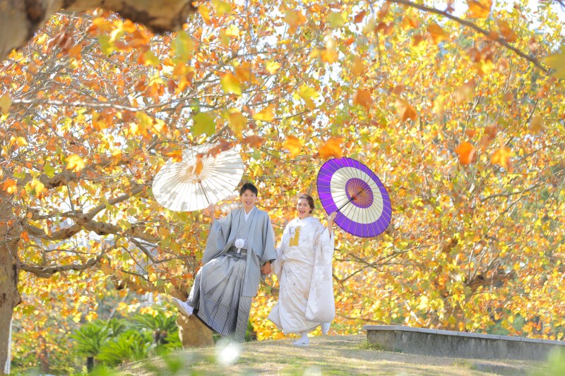 カエデに囲まれて