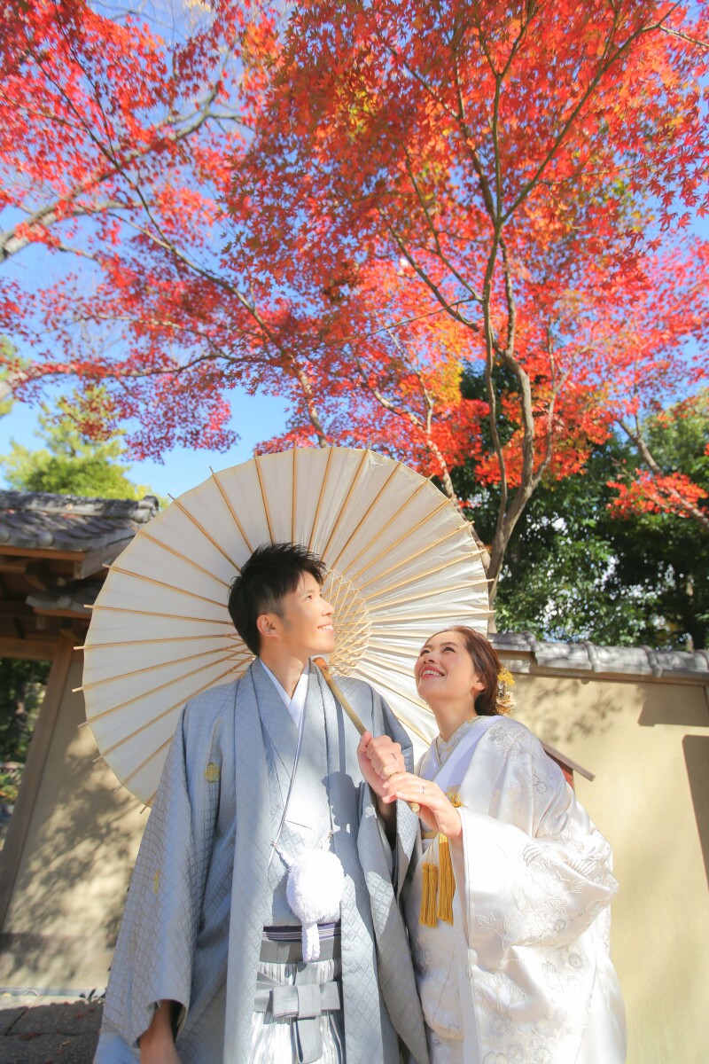 紅葉を見上げて