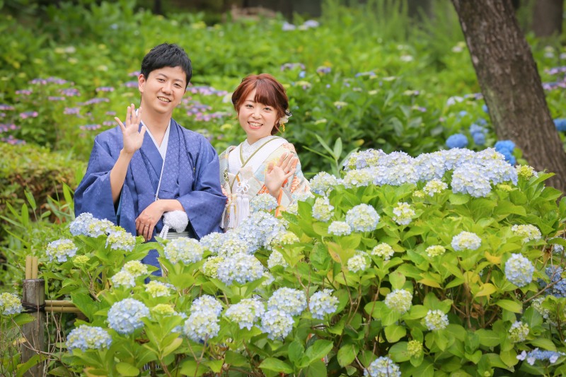 紫陽花いっぱい！