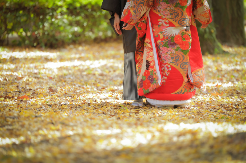 銀杏の葉の絨毯