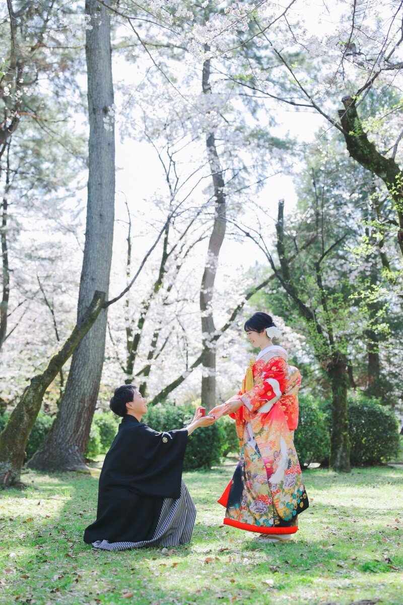 名古屋城桜ロケーション