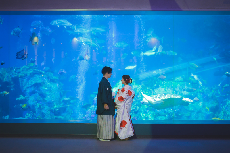 そして水族館へ