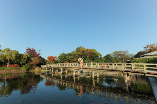 白鳥庭園ロケーション撮影！
