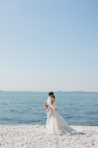 海