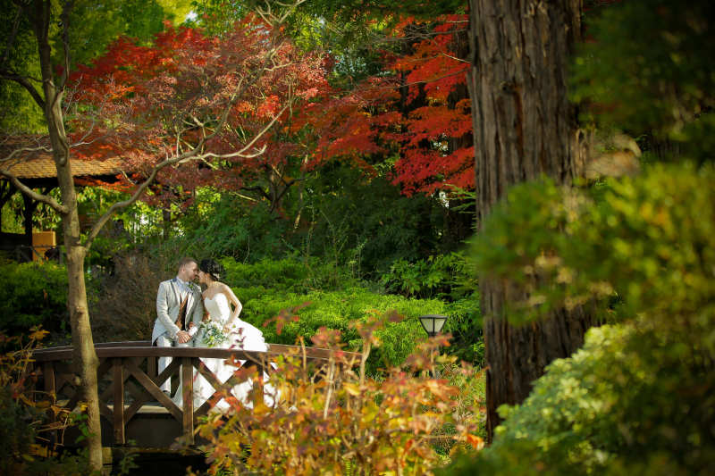 桟橋を使ったショット。