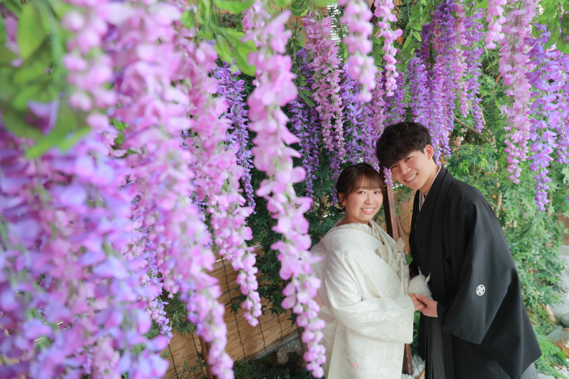 藤の花