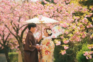 名古屋城桜ロケーション