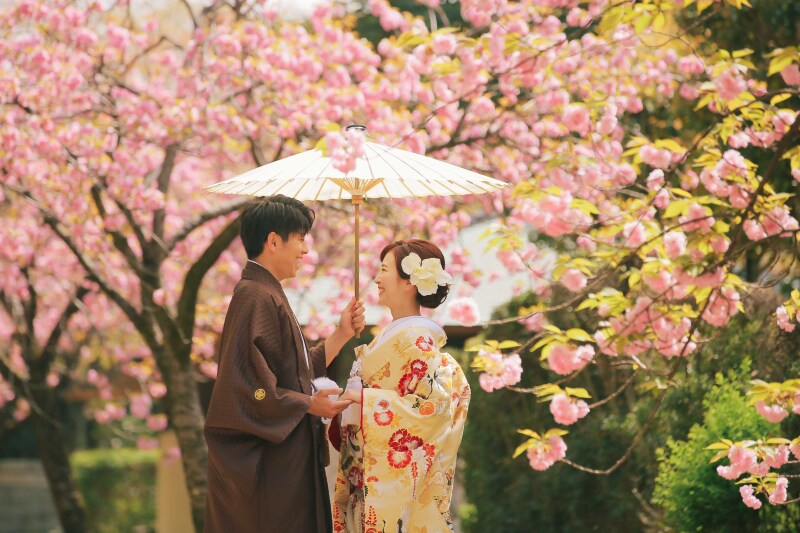 名古屋城桜ロケーション