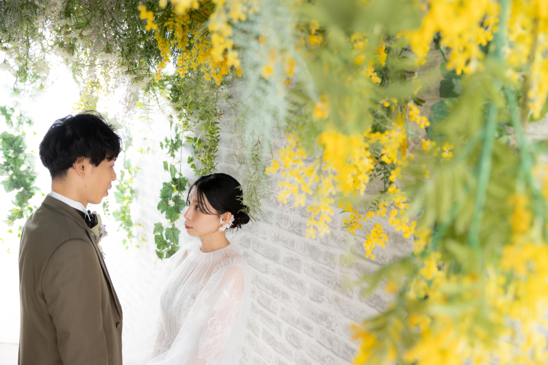 ミモザに囲まれて