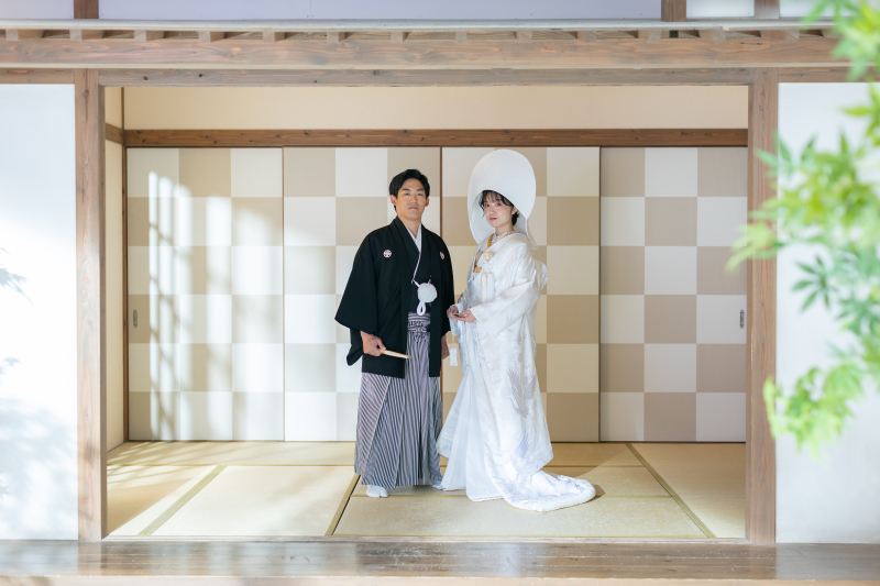 屋内庭園スタジオ