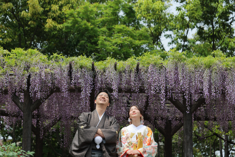 藤の花と一緒に