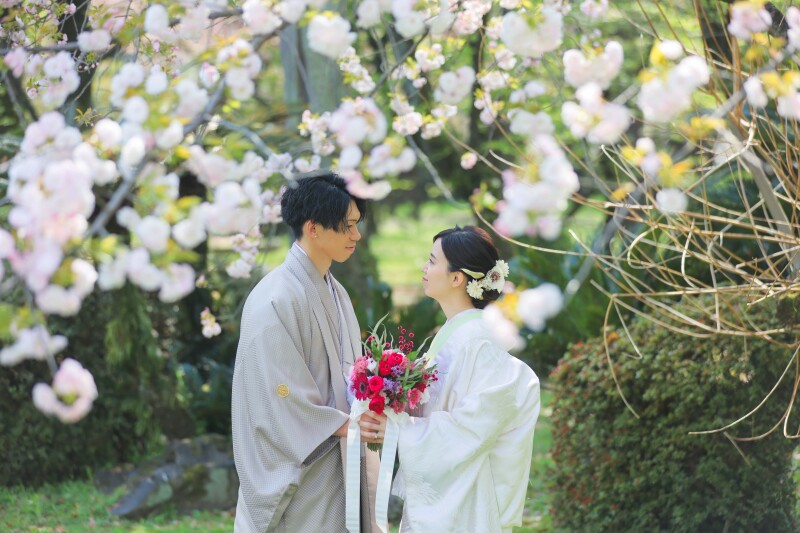 牡丹桜と一緒に