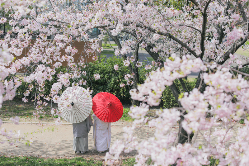 二人並んで紅白の傘を