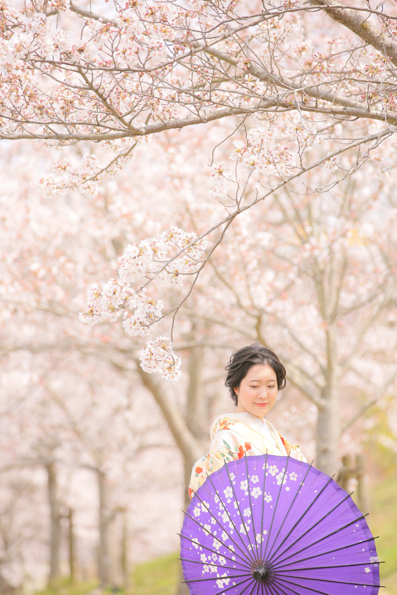 桜×和装