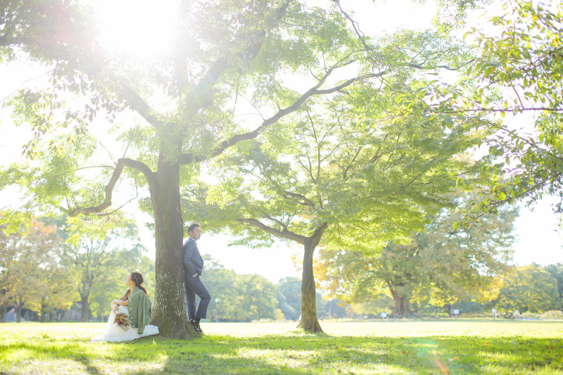 自然な空気づくり、任せてください