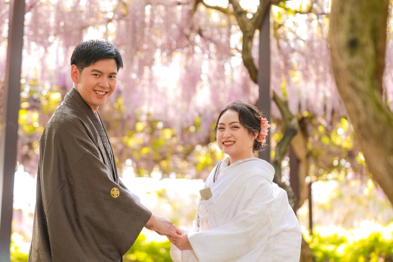 なんと！藤を撮りに来日