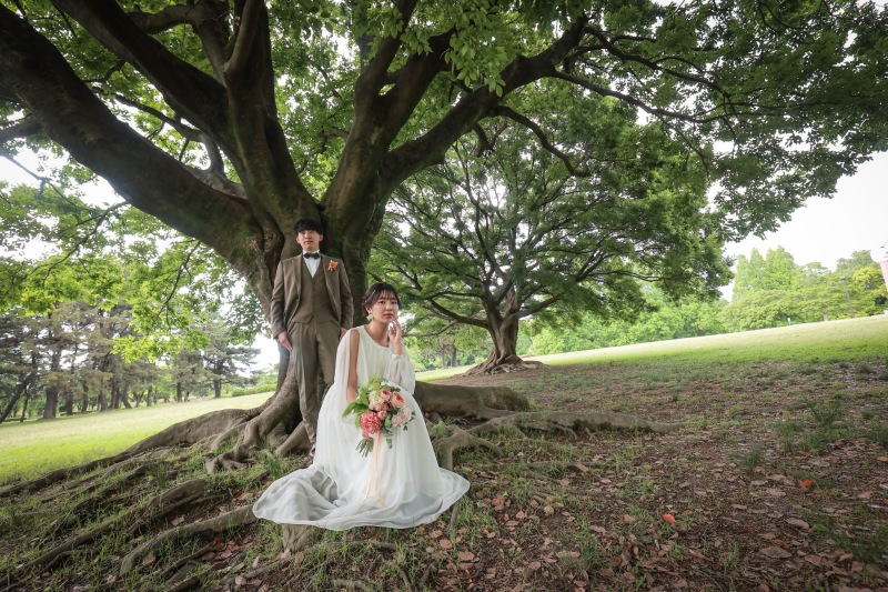 大きな木の下で