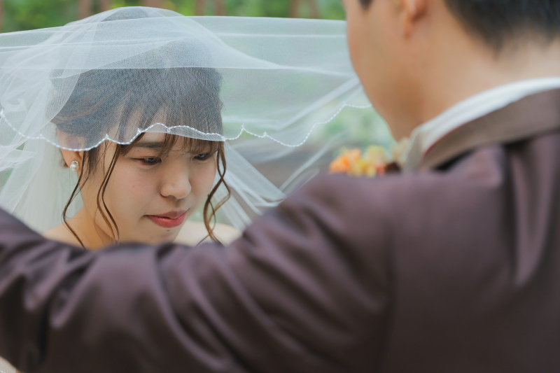 ヴェールアップ